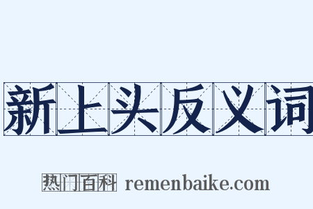 新上头反义词是什么意思的图片